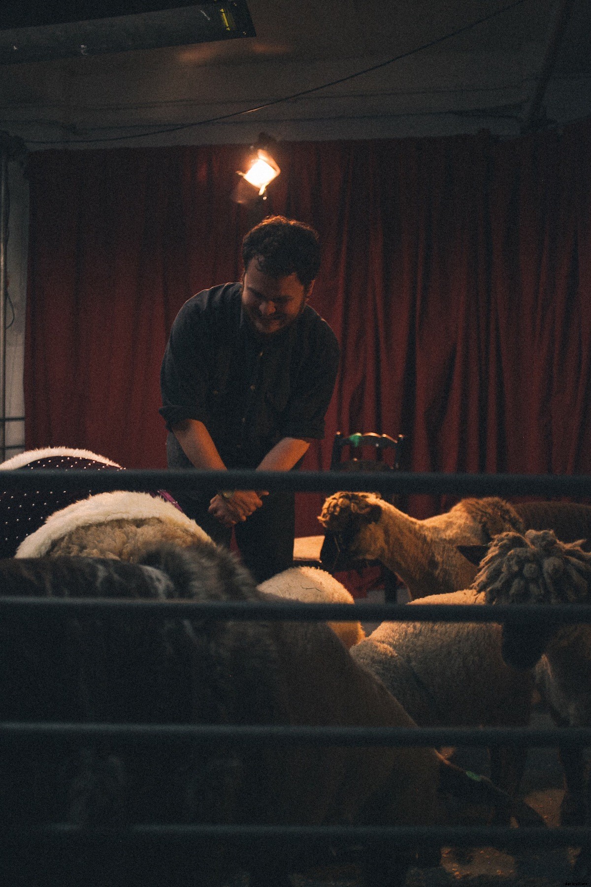 On Staging ‘King Lear’ with Sheep