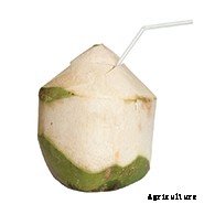 Coconut Water Goes Green
