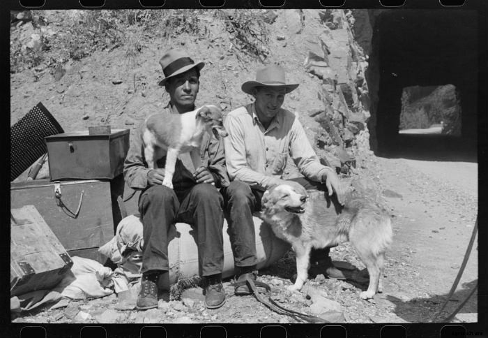 15 Vintage Pictures of Farm Dogs