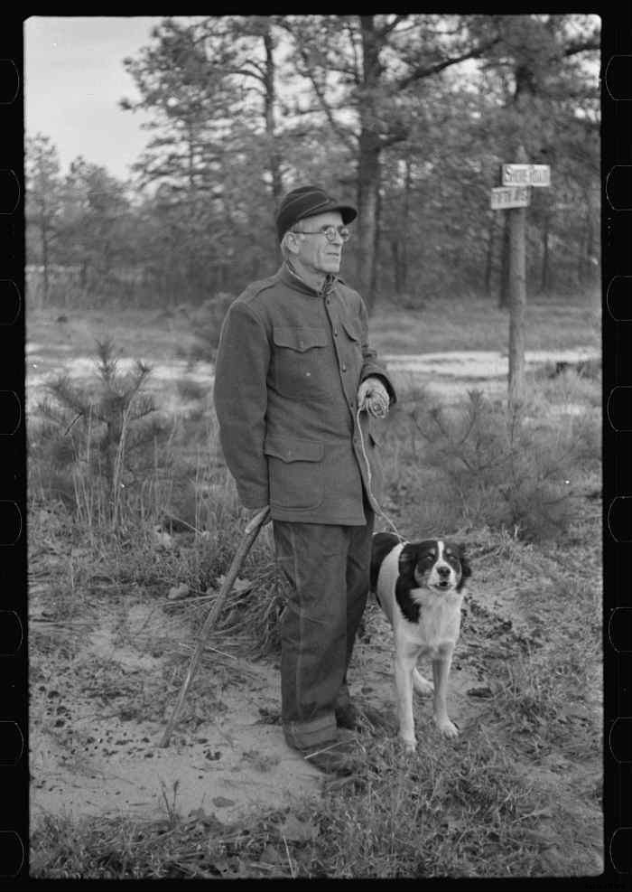 15 Vintage Pictures of Farm Dogs