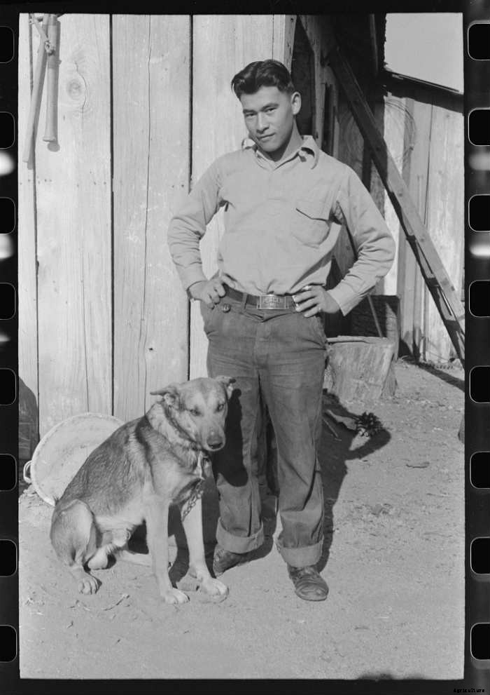 15 Vintage Pictures of Farm Dogs