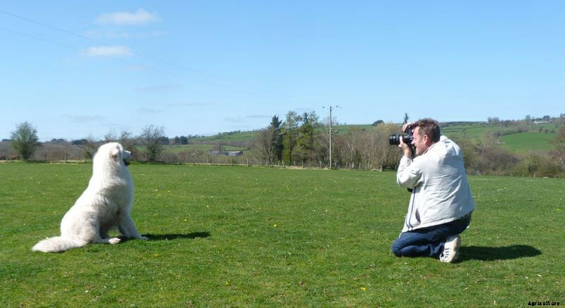 Meet Milo, Our Runner-Up Cover Dog