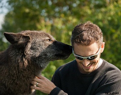 What We Know About What Dogs Know