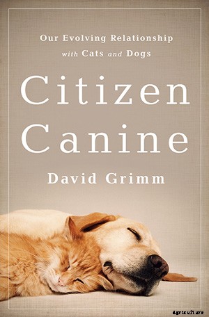 What We Know About What Dogs Know