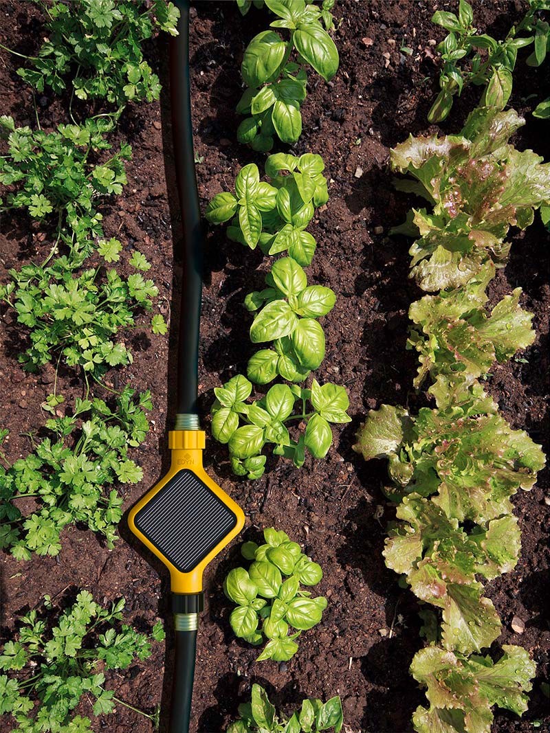 Garden, Meet Edyn: How the ‘Internet of Things’ Has Moved Outside