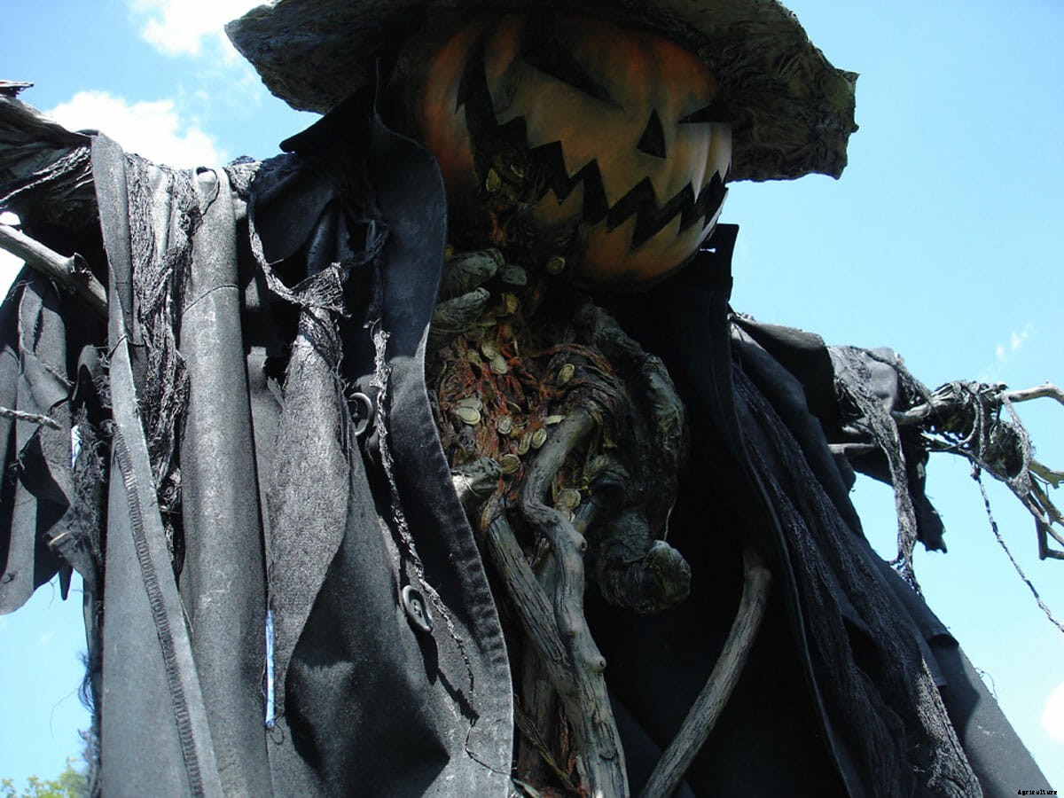 Hay, Man: The Curious Life and Times of Scarecrows