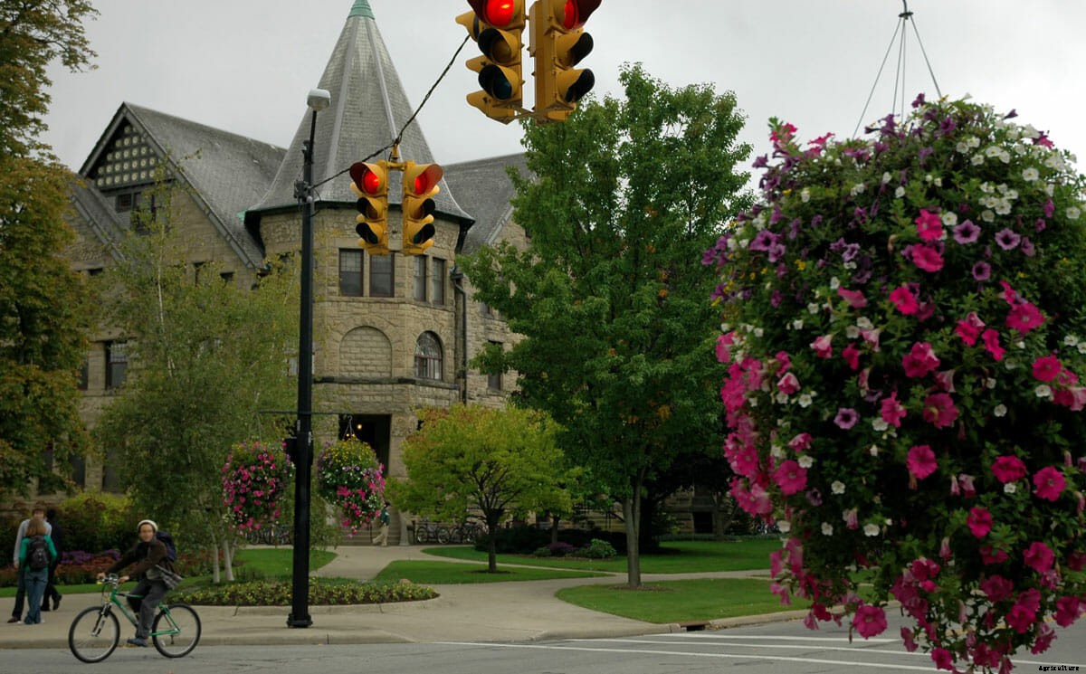 From Quads to Plots: Colleges With Great Campus Farms
