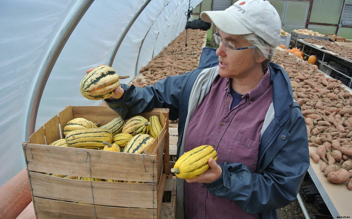 From Quads to Plots: Colleges With Great Campus Farms