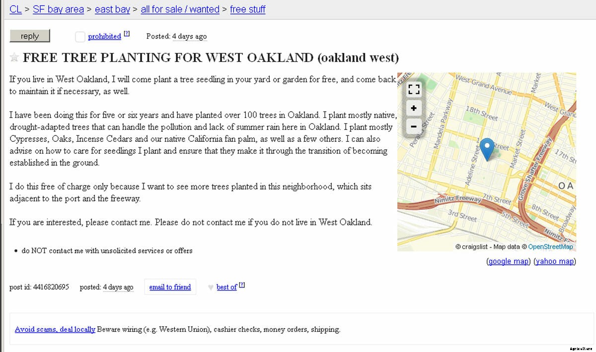 An Arborist’s Guide to Vigilante Art in West Oakland