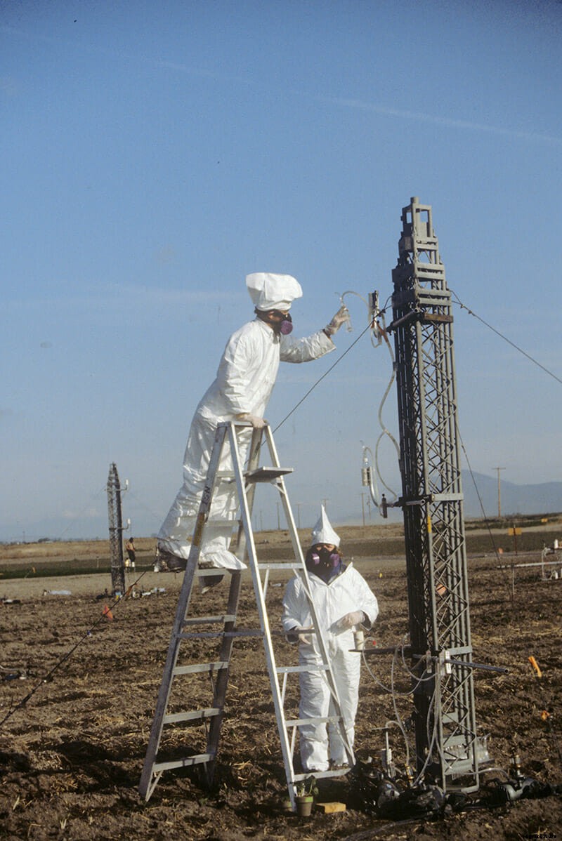 The First GMO Field Tests