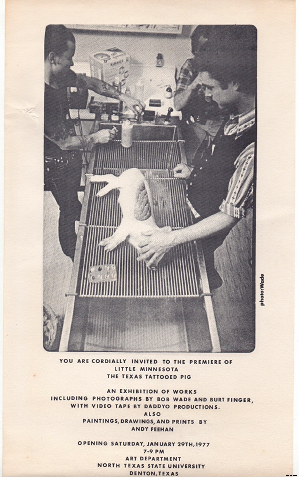 O-inked: Is Tattooing a Pig Art?