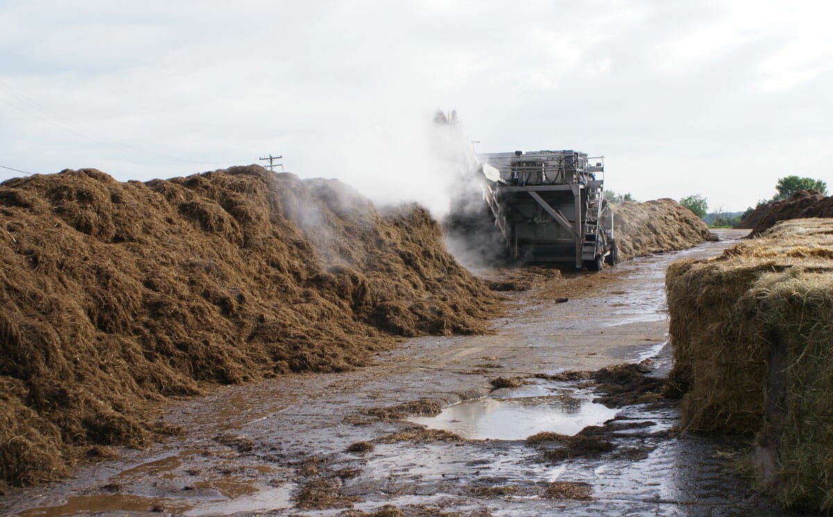 The One Tiny Region That Produces Nearly Half of U.S. Mushrooms