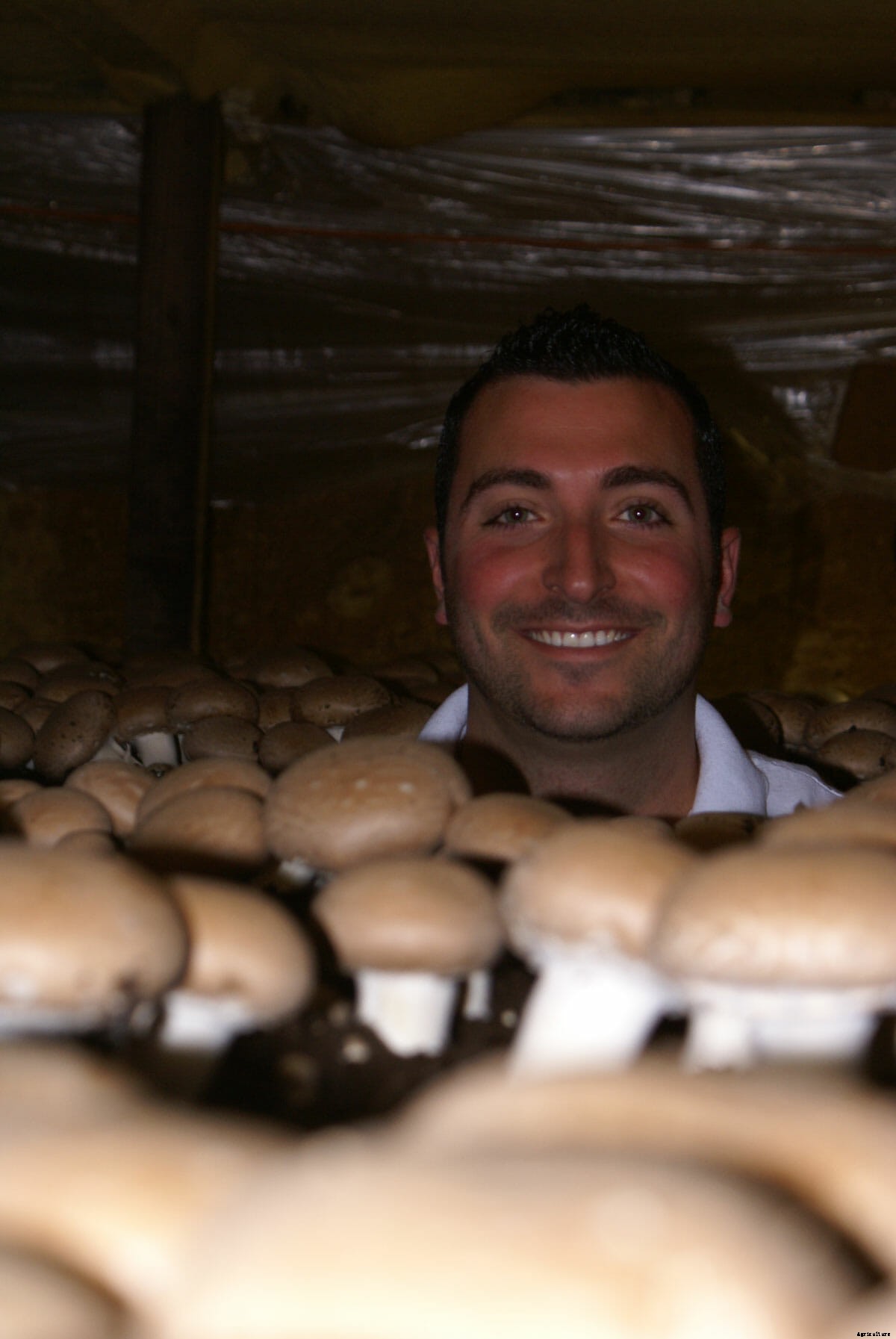 The One Tiny Region That Produces Nearly Half of U.S. Mushrooms