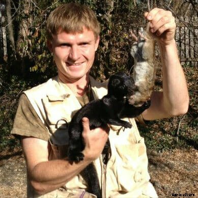 This Guy Raises and Trains Mink to Hunt