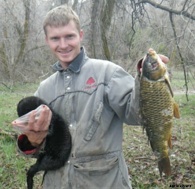 This Guy Raises and Trains Mink to Hunt