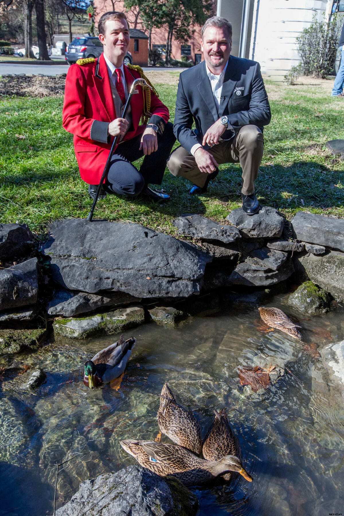 Lucky Ducks Migrate From Historic Hotel to Jack Daniel’s Distillery