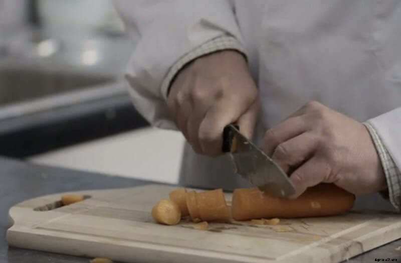 Could Carrots Be the Carbon Fiber of the Future?