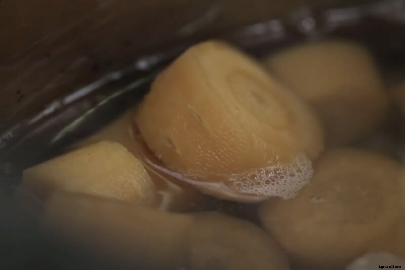 Could Carrots Be the Carbon Fiber of the Future?