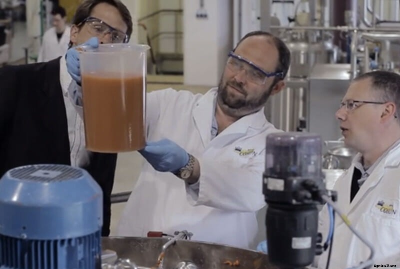 Could Carrots Be the Carbon Fiber of the Future?