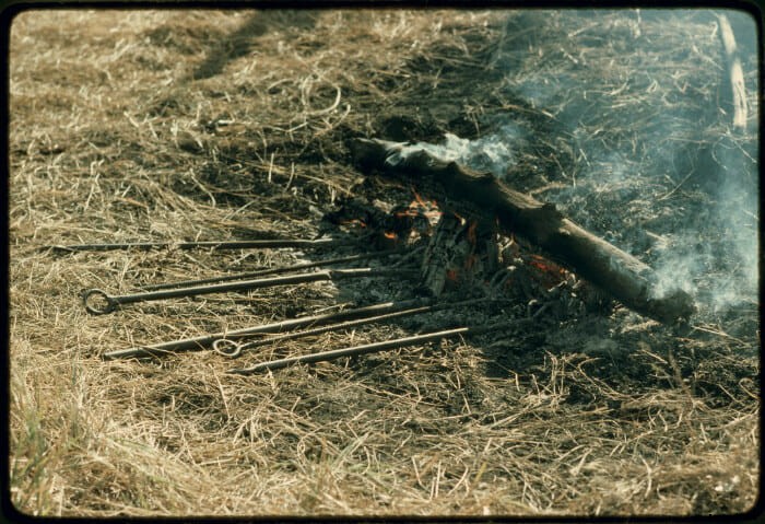 12 Vintage Pictures of Cattle Branding