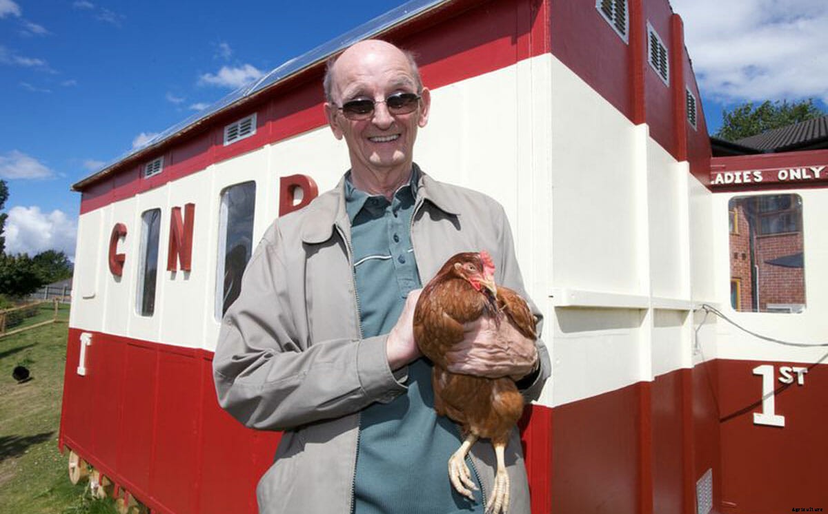 No Spring Chickens, Hens Help Heal Elderly