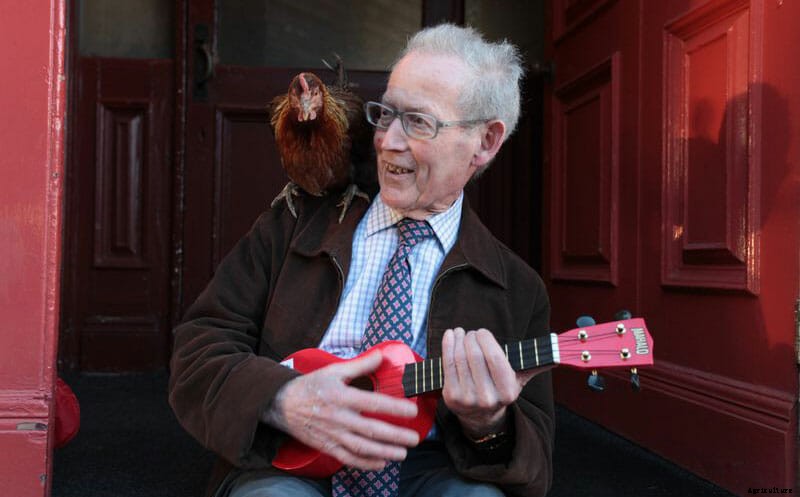 No Spring Chickens, Hens Help Heal Elderly