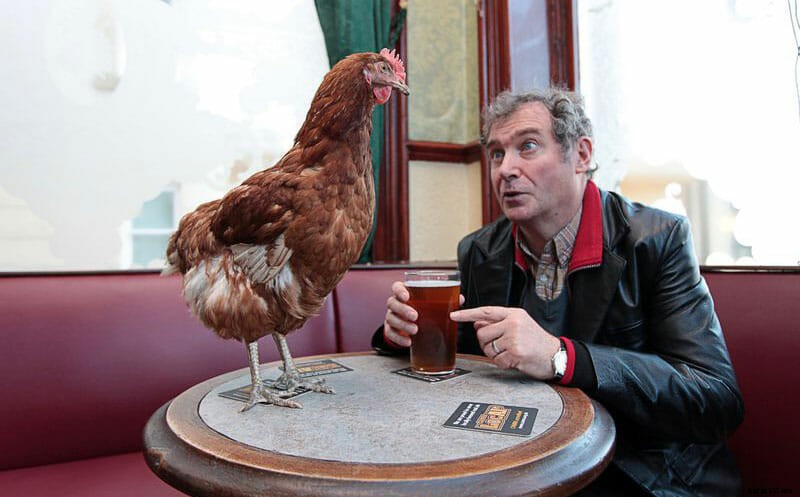 No Spring Chickens, Hens Help Heal Elderly