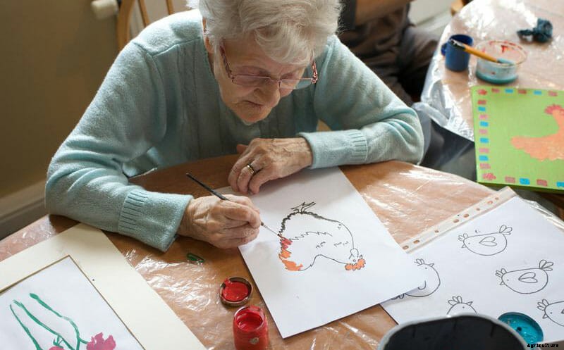 No Spring Chickens, Hens Help Heal Elderly