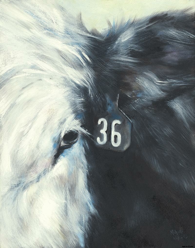 Livestock Portraits: A Picture Worth a Thousand Herds