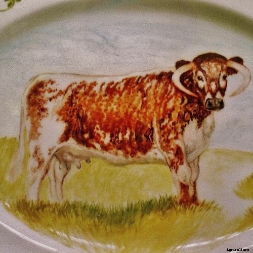 Livestock Portraits: A Picture Worth a Thousand Herds