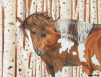 Livestock Portraits: A Picture Worth a Thousand Herds