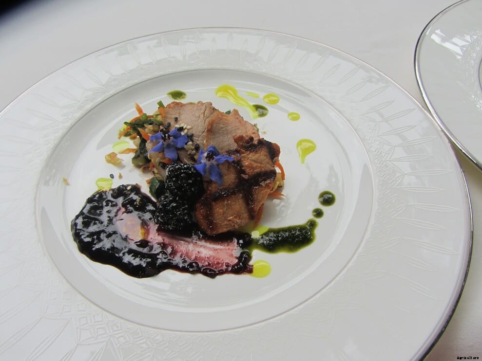 The Joy of Cooking Invasive Species