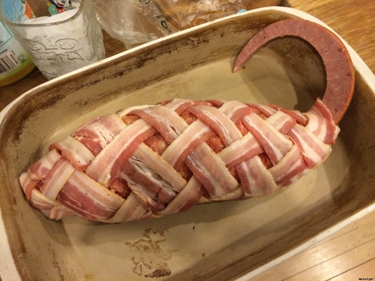 The Art and Science of Muskrat Cooking