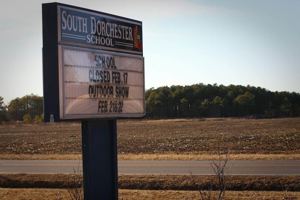 The Art and Science of Muskrat Cooking