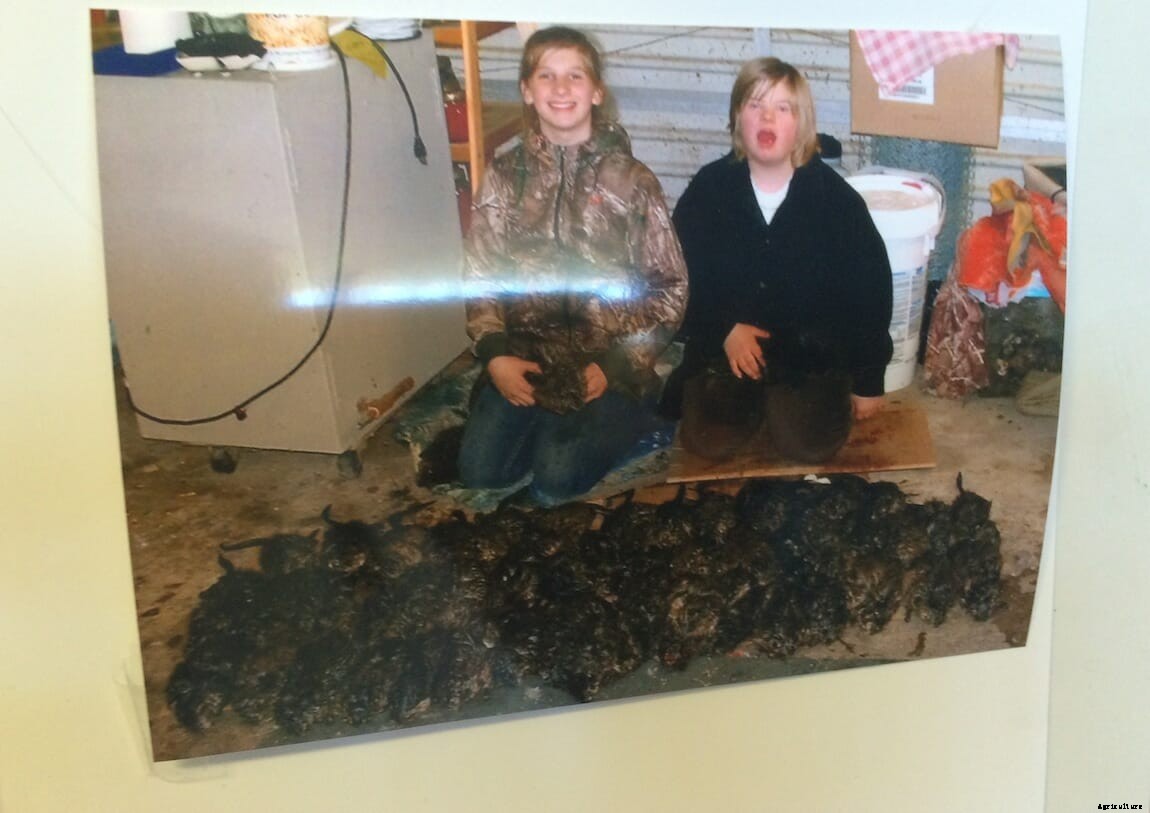 The Art and Science of Muskrat Cooking