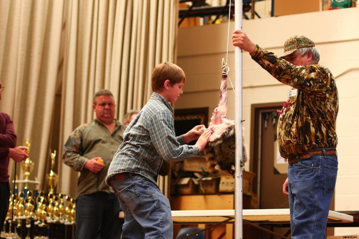 The Art and Science of Muskrat Cooking