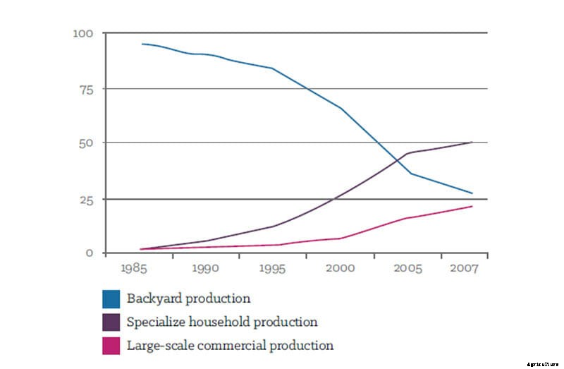 How China Became the World’s Largest Pork Producer