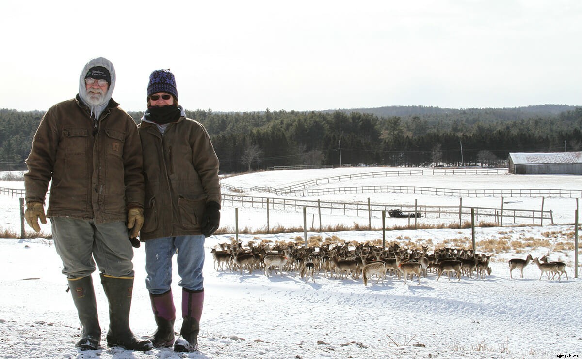 Deer Farming: The Next Adventure in Agriculture