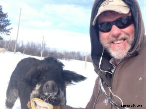 5 Lawsuits Between Pig Owners and the State of Michigan