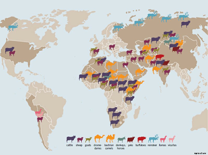 4 Fascinating Maps from the New Meat Atlas