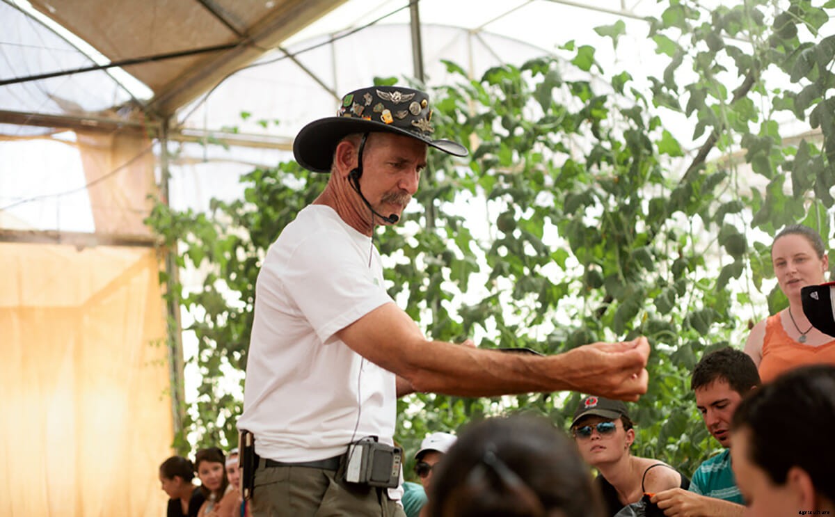 Food in the Desert? Israel’s Salad Trail