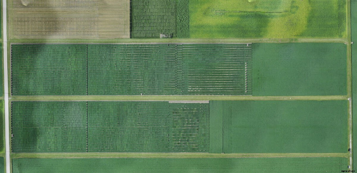 Meet the New Drone That Could Be a Farmer’s Best Friend