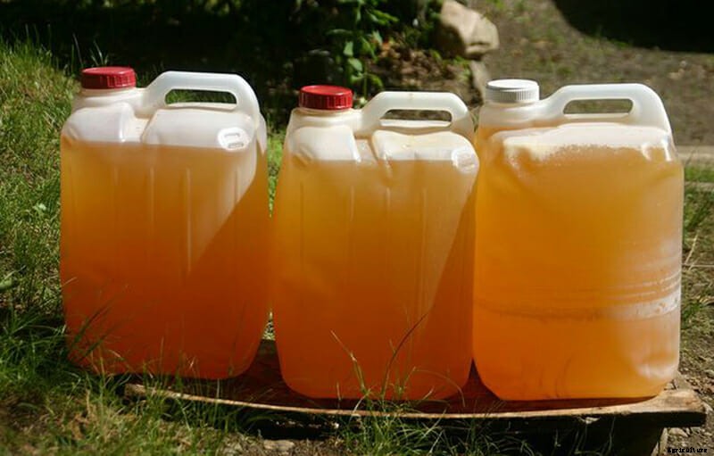 Can Human Urine Replace Chemical Fertilizers?