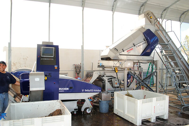 How a Robot Can Sort 2 Tons of Grapes in 12 Minutes