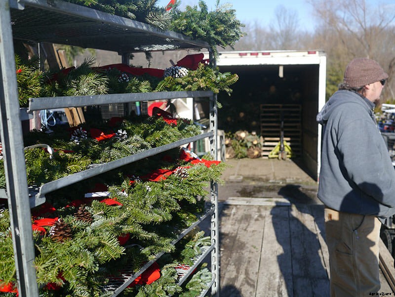 Inside the World of Christmas Tree Farming