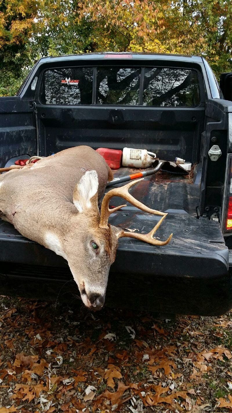 Adventures in Suburban Bow Hunting