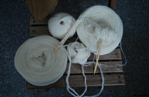 Why Farmers and Knitters Are Fixated on Icelandic Sheep