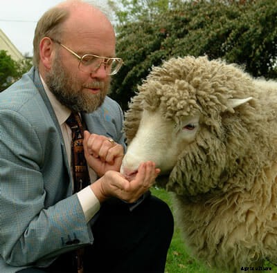 The Life and Times of Dolly the Cloned Sheep