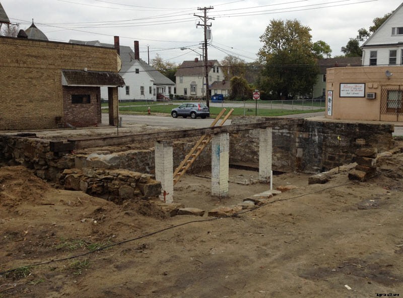 An Ex-Conman Builds the World’s First Biocellar