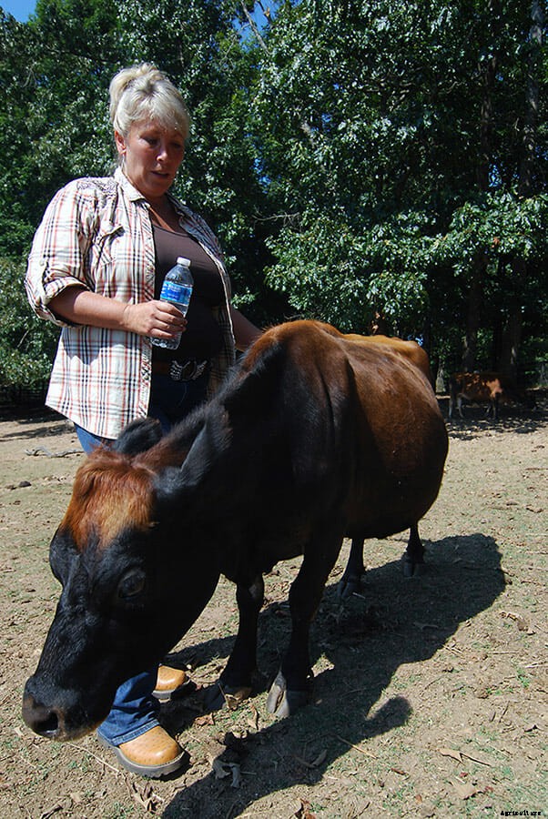 The Miniature Animal Farm